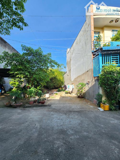 3ty150 TL đất 92,4m2  gần ngã tư Chiêu Liêu 300m, p.Tân Đông Hiệp, Tp.Dĩ An - 3