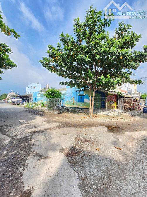 12ty990 TL 300m2 trường Mầm Non góc 2MT KDC Thuận Giao P.Thuận Giao Tp Thuận An - 3