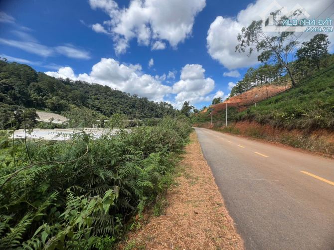 Bán đất 1hecta có suối view rừng thông ngoại ô thành phố Đà Lạt - 3