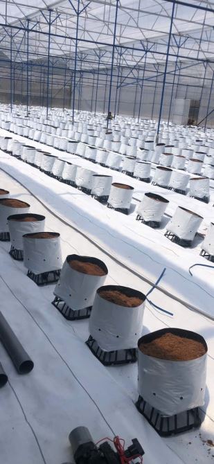 7.300m2 ĐẤT NÔNG NGHIỆP - PHƯỜNG 10 ĐÀ LẠT - GIÁ CHỈ 2,5TR CÓ SẴN NHÀ LỒNG CÔNG NGHỆ CAO - 4