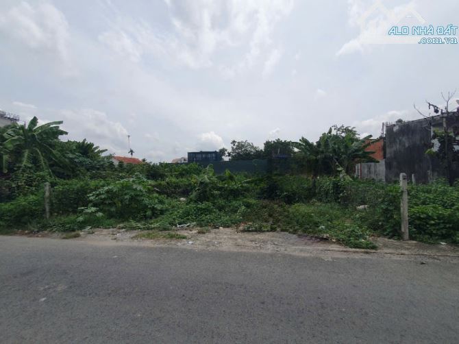 2ty950 TL 87,8m2 đất MT đường Bình Nhâm 09 P.Bình Nhâm Tp Thuận An - 4