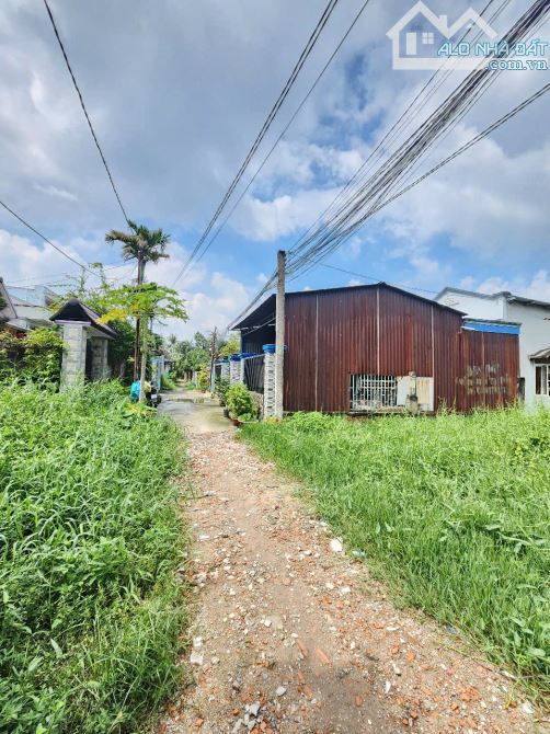 4ty9 TL 468,6m2 11.88x40 gần cầu Phú Long , đất gần Sông Sài Gòn P.Lái Thiêu Tp Thuận An - 4