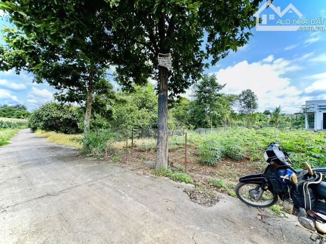 💥2 lô liền kề Thôn 8 CưEbur (phường BMT) - 5 x 22m (Thổ cư 100%) - 690 triệu/ lô - 4