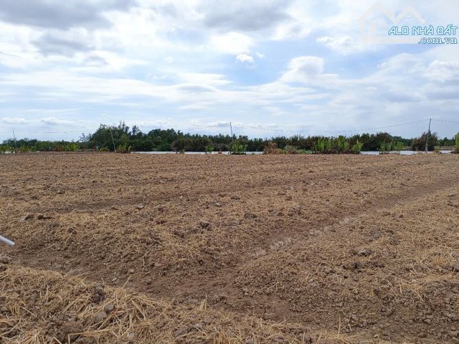 Bán gấp đất nhà vườn đất công Phú Đông Nhơn Trạch giá rẻ 1,5TR/M.SR chính chủ.GỌI NGAY 24H - 7