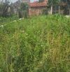 Chính chủ bán đất tân ước thanh oai 91m2 hơn 3 tỷ ô tô tải vào đất