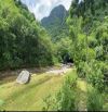 SIÊU PHẨM CÓ 1-0-2 | BÁM SUỐI – VIEW NÚI NON HÙNG VĨ
