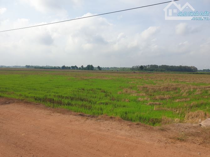 Bán đất vườn 3.224m² mặt tiền Kênh – Xã Tân Phú Trung, Củ Chi – Gần QL22, BV Xuyên Á