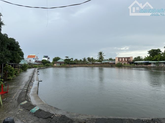 Bán 22.000m2 đất mặt tiền DT830 huyện Cần Giuộc, Long An