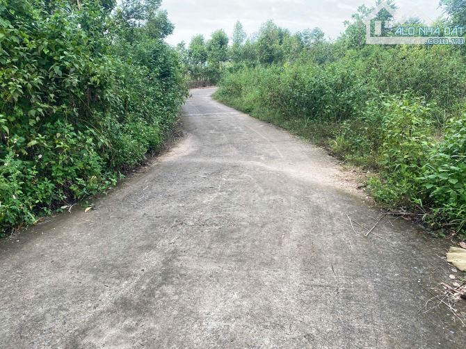 bán lô đất vườn 1,2ha(12.000m2) cách qlo 20 khoảng 1,7km chỉ với 300t/xào