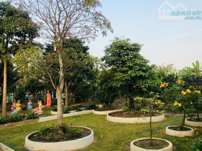 DIỆN TÍCH KHỦNG 40m x 56m – CÓ 300m² THỔ CƯ – CÓ SẴN BIỆT THỰ SÂN VƯỜN. Vị trí: Ấp Xoài Đô - 1