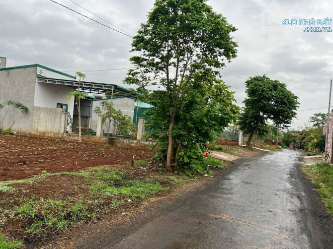 6x36m ĐẤT THỔ CƯ ĐƯỜNG NHỰA 15m NGAY GẦN UBND HOÀ PHÚ - 1