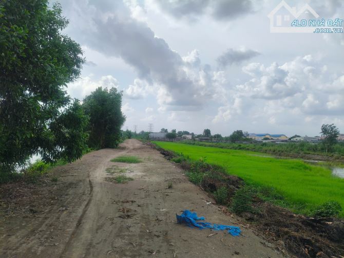 Bán Đất Vườn Mặt Tiền Kênh Láng The - Tân Thạnh Đông, Củ Chi – 3763m² Giá Chỉ 1.7 Triệu/m² - 1