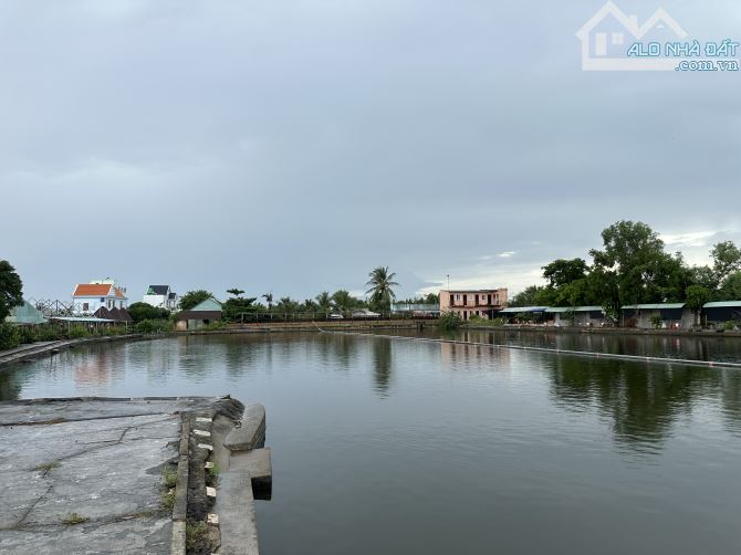 Bán 22.000m2 đất mặt tiền DT830 huyện Cần Giuộc, Long An - 1