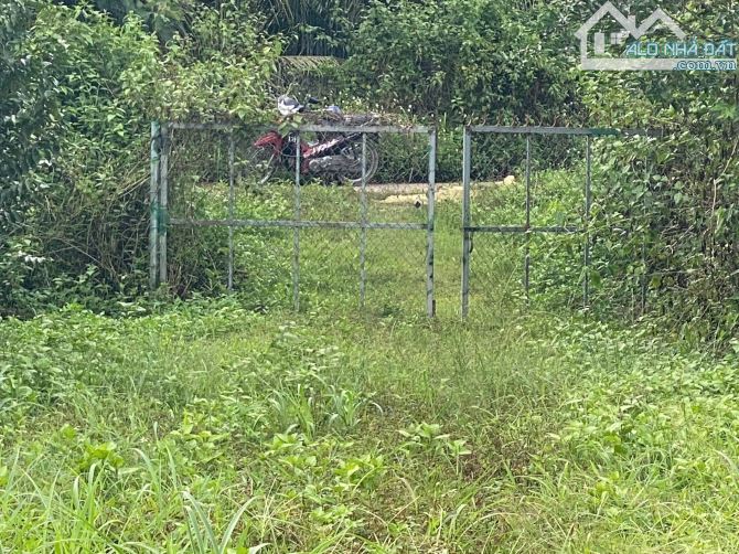 bán lô đất vườn 1,2ha(12.000m2) cách qlo 20 khoảng 1,7km chỉ với 300t/xào - 1