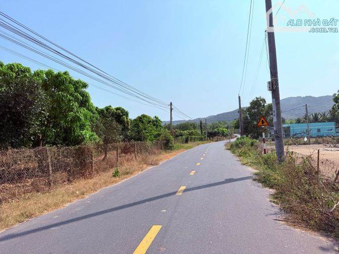 3 LÔ VƯỜN XOÀI THỊ TRẤN PHƯỚC HẢI - LONG ĐẤT - BRVT 🌈DT 556m2 - 1