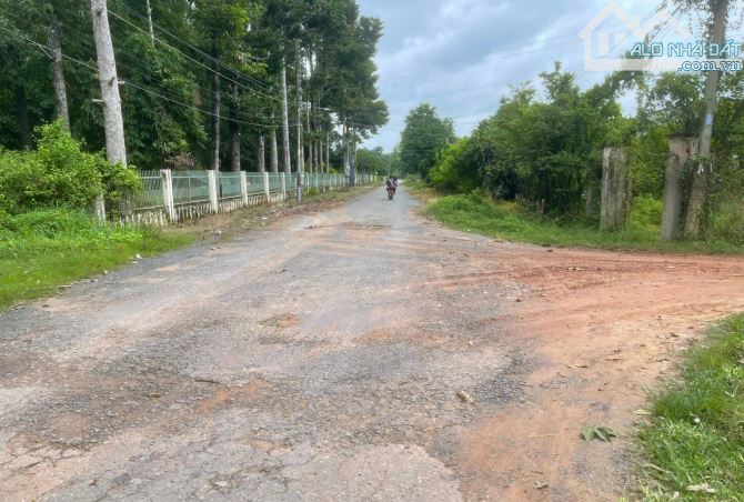 Cần bán lô đất full thổ cư giá 280 triệu liền kề khu công nghiệp Trảng Bàng - 2
