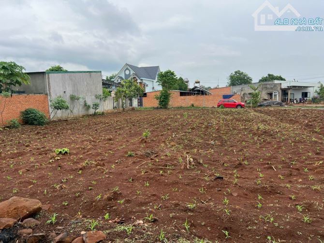 6x36m ĐẤT THỔ CƯ ĐƯỜNG NHỰA 15m NGAY GẦN UBND HOÀ PHÚ - 2