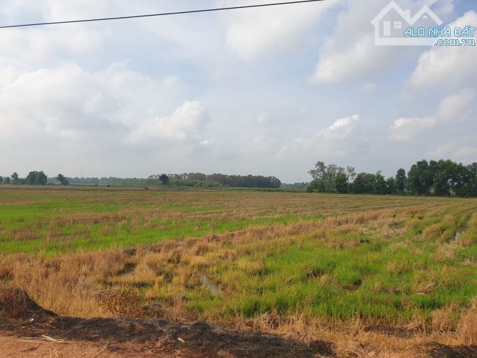 Bán đất vườn 3.224m² mặt tiền Kênh – Xã Tân Phú Trung, Củ Chi – Gần QL22, BV Xuyên Á - 2