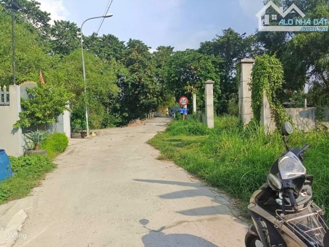 Lô đất 356m2 sát bên sông Sài Gòn, Bình Nhân, Thích Hợp Xây Biệt Thự - 2