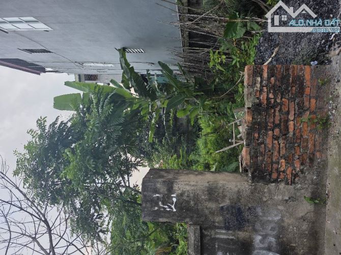 Mặt phố Kinh Doanh,Trung Tâm Công Nghiệp.Bán Đất Tân Quang-Hưng Yên.Dt 106m,Giá 7 Tỷ. - 2