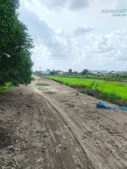 Bán Đất Vườn Mặt Tiền Kênh Láng The - Tân Thạnh Đông, Củ Chi – 3763m² Giá Chỉ 1.7 Triệu/m² - 2
