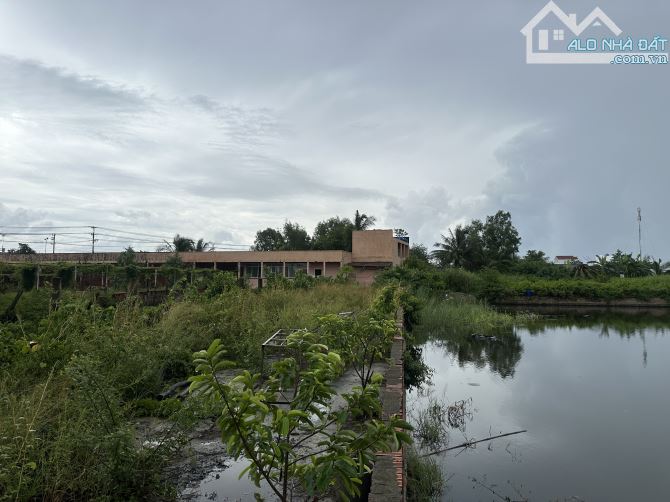 Bán 22.000m2 đất mặt tiền DT830 huyện Cần Giuộc, Long An - 2