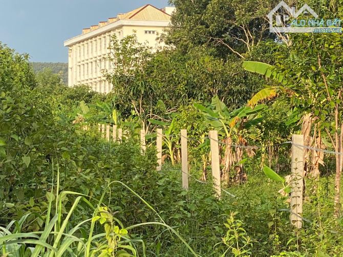 bán lô đất vườn 1,2ha(12.000m2) cách qlo 20 khoảng 1,7km chỉ với 300t/xào - 2