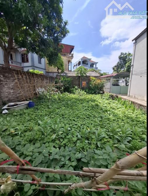 5.6 Tỷ/101 M2/7.5 M tiền/ Cửu Cao.Ô tô Chánh - 3