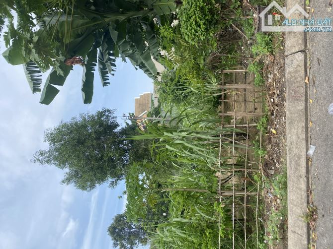 🧿 ĐẤT 82M² – ĐƯỜNG Ô TÔ 8M – GẦN VINHOMES Q9 – CHỈ 4.2 TỶ TL 💥 - 3