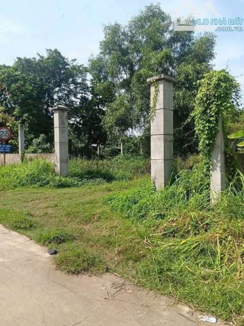 Lô đất 356m2 sát bên sông Sài Gòn, Bình Nhân, Thích Hợp Xây Biệt Thự - 3