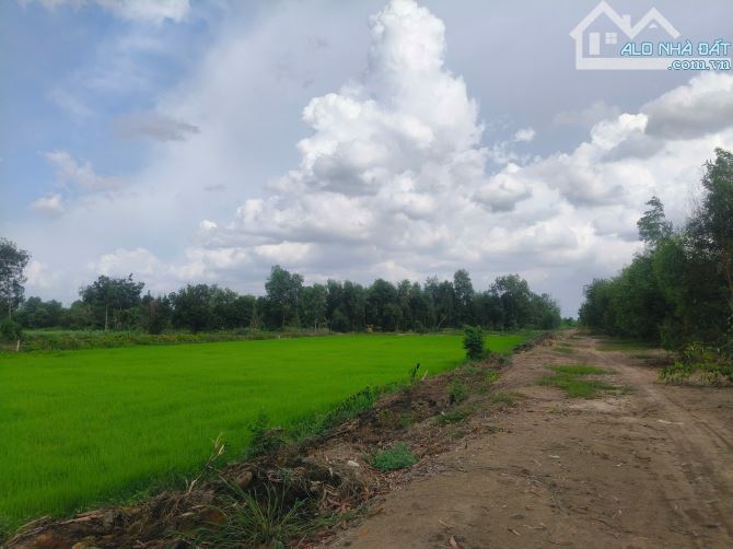 Bán Đất Vườn Mặt Tiền Kênh Láng The - Tân Thạnh Đông, Củ Chi – 3763m² Giá Chỉ 1.7 Triệu/m² - 3