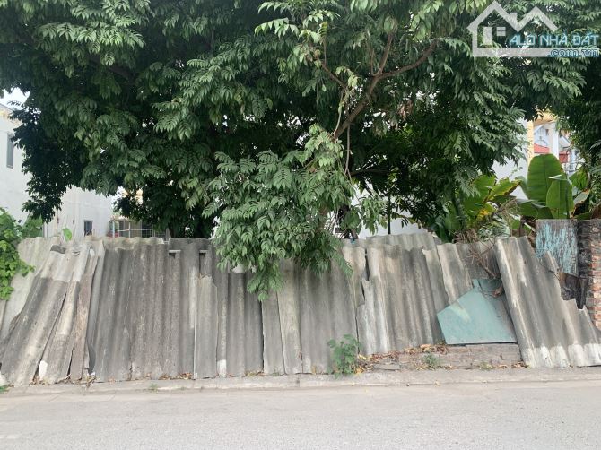 Bán 270m đất mặt đê Bát Khối đoạn đường rộng, phù hợp làm trụ sở, phòng khám, spa, gara ô - 3