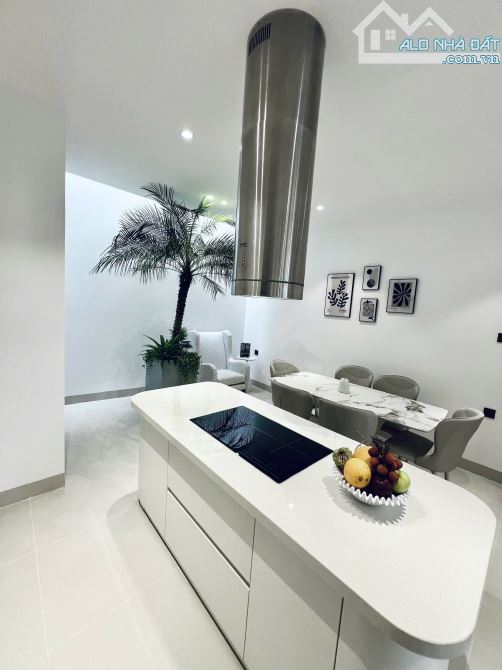 BÁN NHÀ MỚI LENG KENG HẺM MAI HẮC ĐẾ BÊN HÔNG ECOPLACE - 4