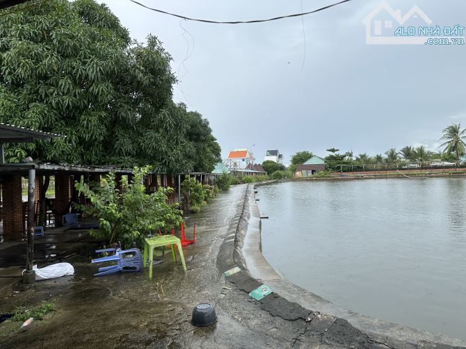 Bán 22.000m2 đất mặt tiền DT830 huyện Cần Giuộc, Long An - 4