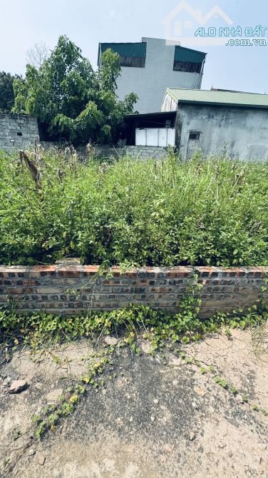 ĐẤT GIÁ HỜI – Ô TÔ TRÁNH NHỈNH 5TỶ 💥 TIN SIÊU HOT! Lô đất cực phẩm tại Mai Lâm Đông Anh - 5