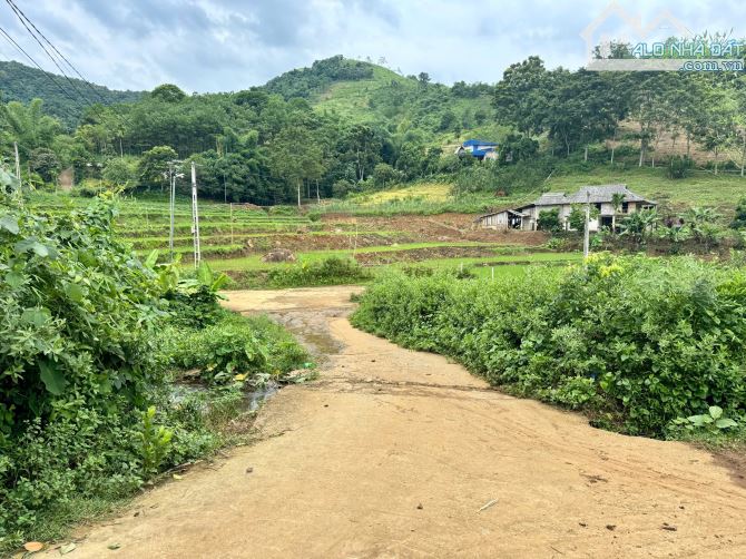 691m Full Đất Ở - Lô Góc 2 Mặt Tiền Phân Lô Cực Đẹp - View Cánh Đồng - 5
