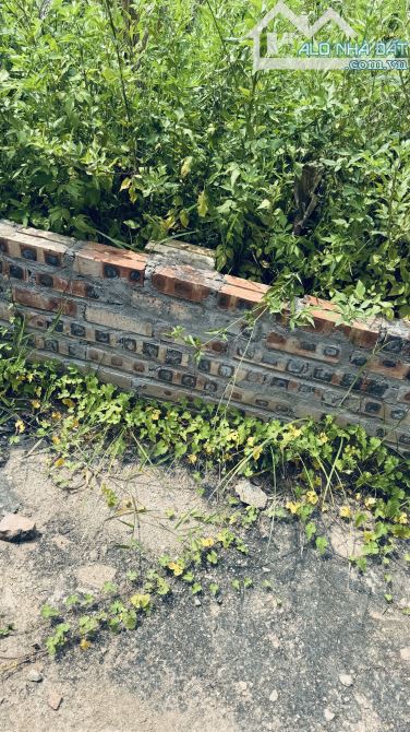 🏡 CHỦ GỬI BÁN LÔ ĐẤT ĐẸP - GIÁ TỐT CHO NHÀ ĐẦU TƯ TẠI MAI LÂM ĐÔNG ANH HÀ NỘI - 5