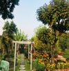 DIỆN TÍCH KHỦNG 40m x 56m – CÓ 300m² THỔ CƯ – CÓ SẴN BIỆT THỰ SÂN VƯỜN. Vị trí: Ấp Xoài Đô