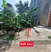 Bán đất phân lô ô tô tránh, khu dân trí cao Phúc Tiến – Biên Giang, 70.3m² cực đẹp