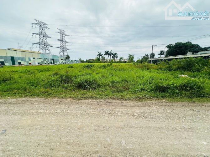 959m2 đất thổ ngay đường tỉnh lộ 824 giao đường cống bà bông 6.5tỷ