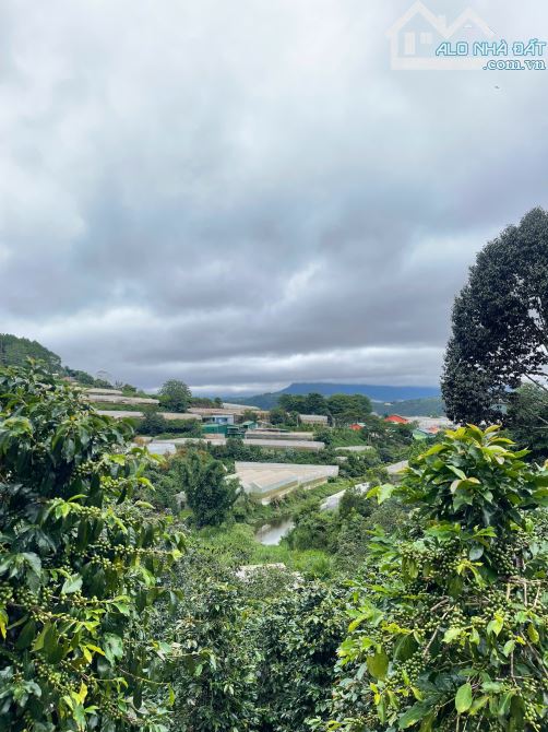 BÁN LÔ GÓC 2MT 3800M2 NGUYỄN ĐÌNH QUÂN P.CAMLY VIEW RỪNG THÔNG, THUNG LŨNG. ĐL
