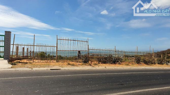Sang tên 600m2 CLN mặt tiền Nguyễn Thông, đối diện Summer Land, view trọn vịnh biển Mũi Né