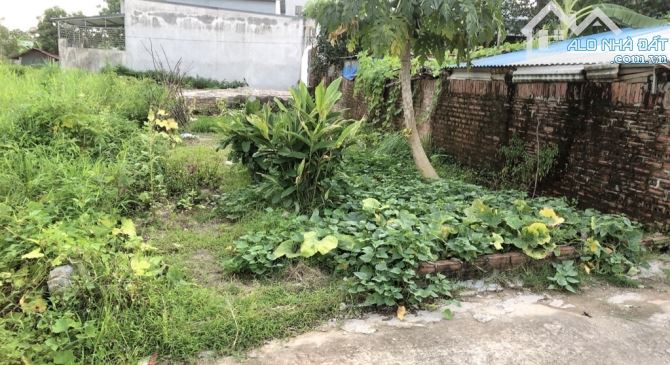Bán 81m đất vuông đẹp ,vị trí đắc địa Dược Thượng -Tiên Dược