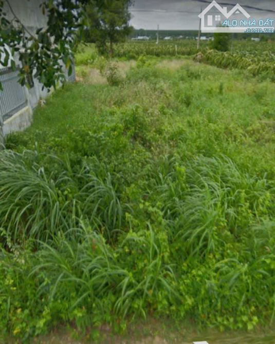 Đất Hướng Biển-Hàm Kiệm(Hàm Cường Cũ)-Lâm Đồng-DT 2,8 Sào - 1