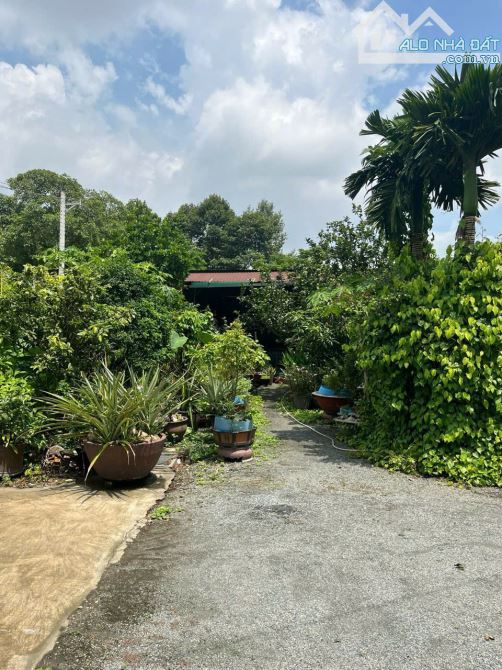 HÀNG HIẾM! CHỦ GỞI BÁN BIỆT THỰ TÂN VẠN 1 TRỆT 2 LẦU 1.045M2 THỔ CƯ 150M, SỔ RIÊNG, ĐÃ HOÀ - 1