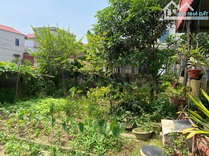 BÁN LÔ THỔ CƯ ĐƯỜNG Ô TÔ THUỘC THÔN TRÚC Ổ, MỘ ĐẠO, BẮC NINH. - 1