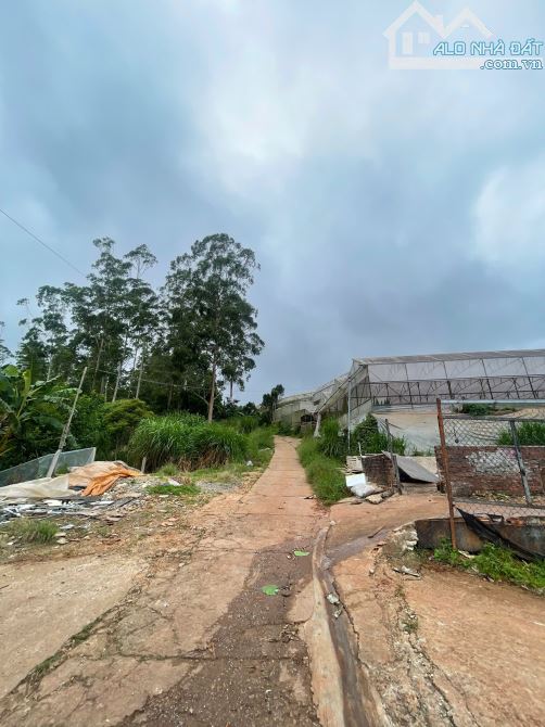 BÁN LÔ GÓC 2MT 3800M2 NGUYỄN ĐÌNH QUÂN P.CAMLY VIEW RỪNG THÔNG, THUNG LŨNG. ĐL - 1