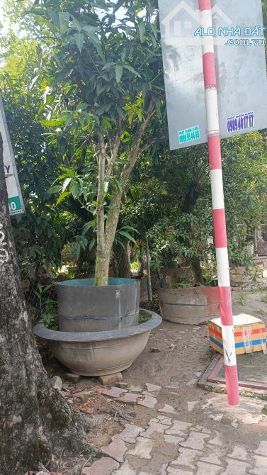 Bán 307,7m2 đất mặt tiền đường Nguyễn Thị Minh Khai, gần đường vành Đai 3 và kdc Kim Oanh - 1