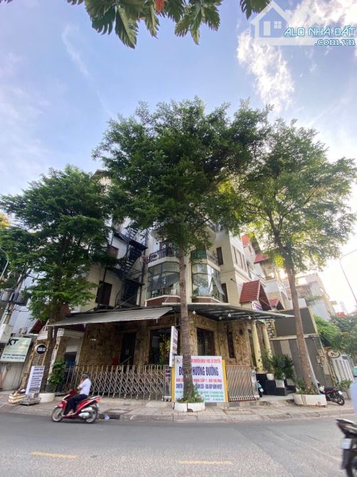 14mx17m - Biệt thự hầm 4 tầng góc 2 MT có thang máy ngay khu Bàu Cát - Giá 32.9 tỷ - 1