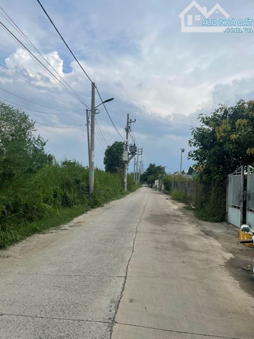 1000M2 ĐẤT THỔ CƯ MẶT TIỀN ĐƯỜNG XƯƠNG CÁ 1 NHÀ BÈ CHỈ 15 TR/M2 - 1